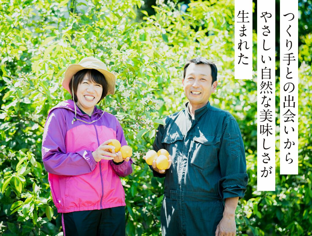 レモンカステラ「涼峯」と五三焼の詰合せ（半棹2本入）｜元祖長崎